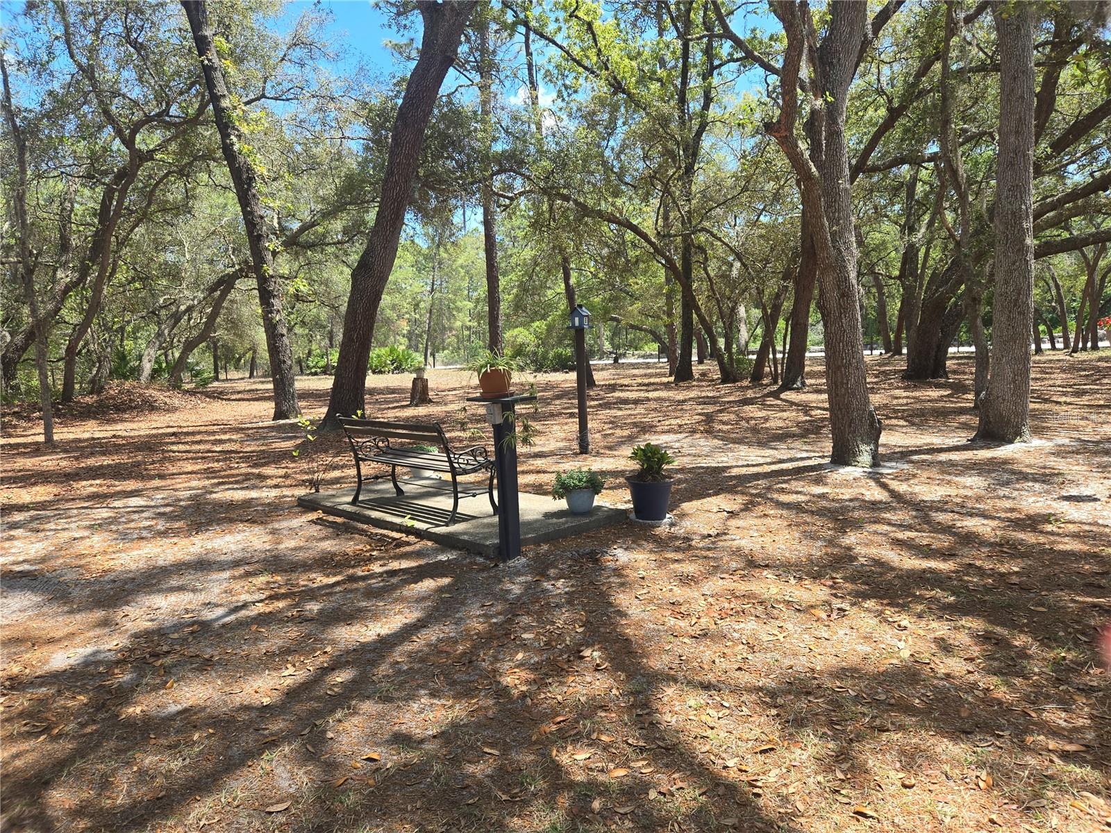 16205 SE 119TH ST, OCKLAWAHA, FL, 32179