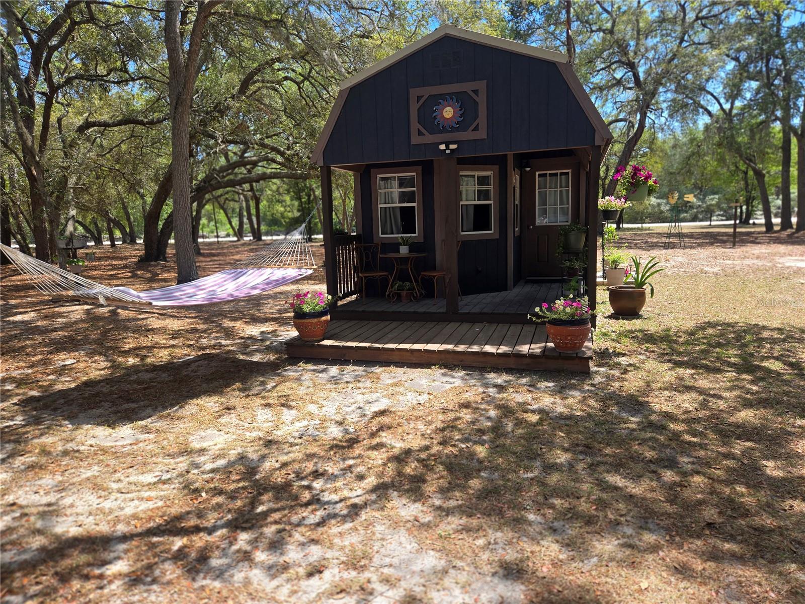 16205 SE 119TH ST, OCKLAWAHA, FL, 32179