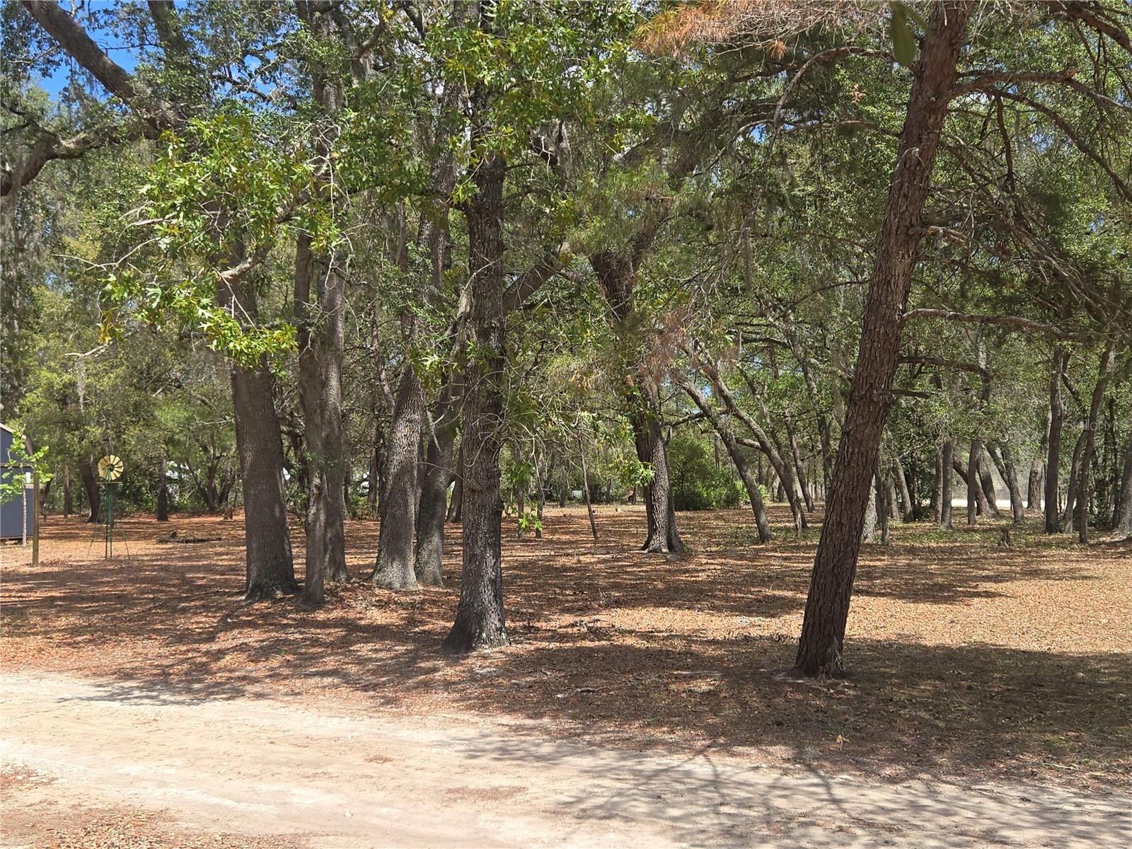 16205 SE 119TH ST, OCKLAWAHA, FL, 32179