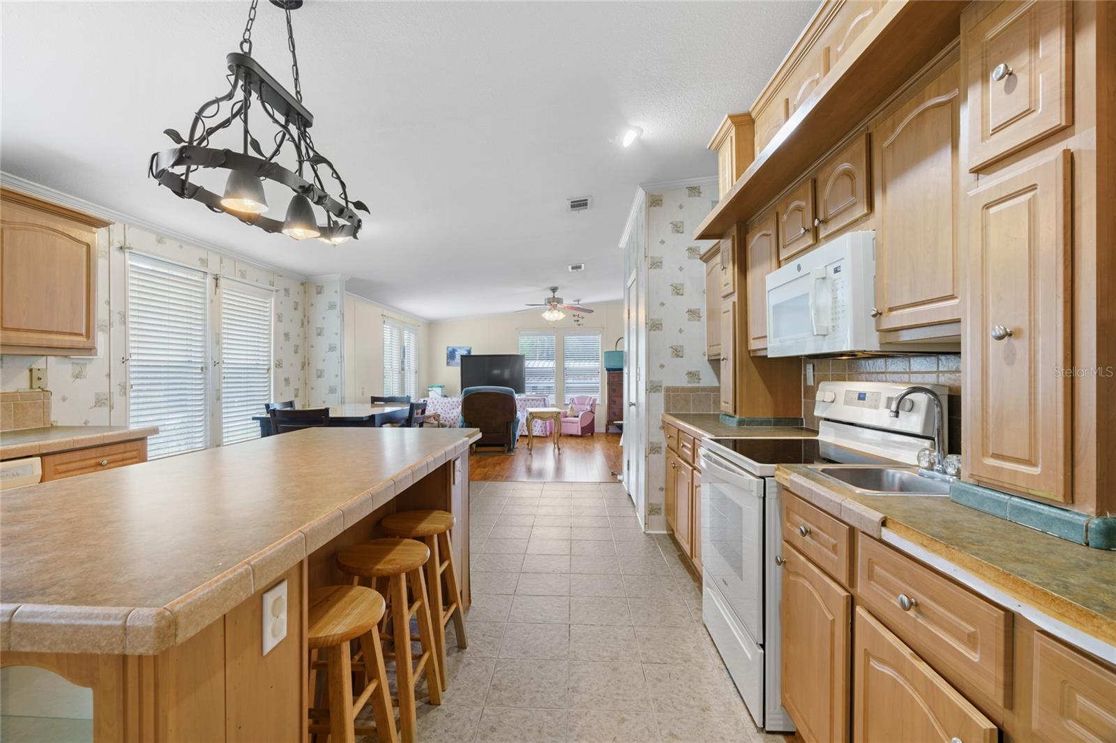 16925 SE 100TH TERRACE RD, SUMMERFIELD, FL, 34491