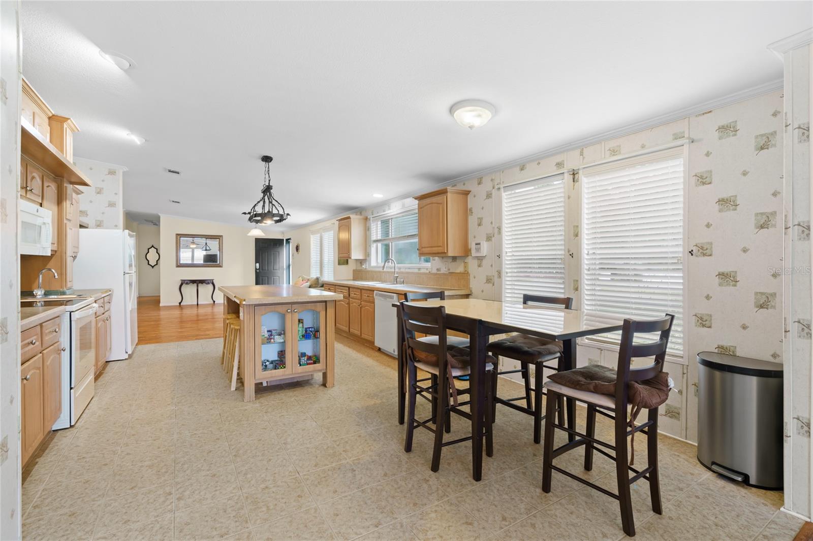 16925 SE 100TH TERRACE RD, SUMMERFIELD, FL, 34491