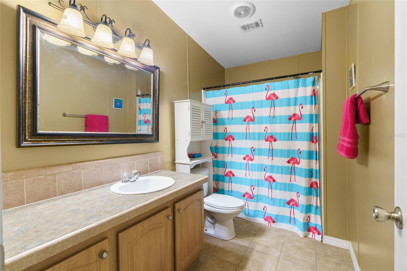 16925 SE 100TH TERRACE RD, SUMMERFIELD, FL, 34491