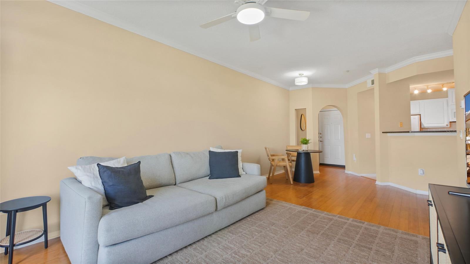 501 KNIGHTS RUN AVE #1335, TAMPA, FL, 33602