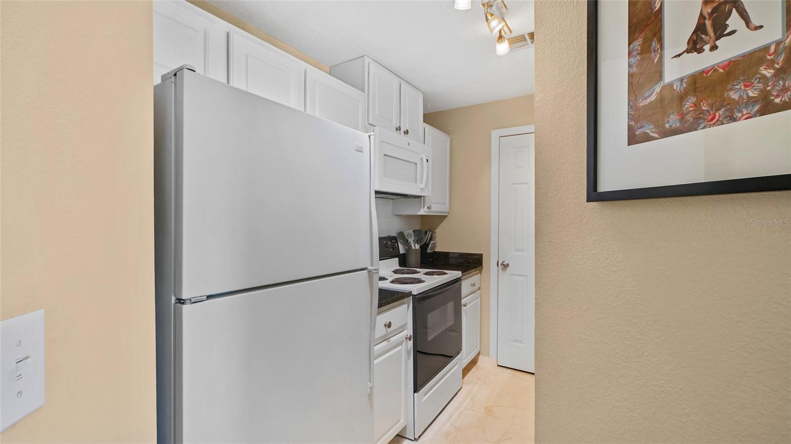 501 KNIGHTS RUN AVE #1335, TAMPA, FL, 33602