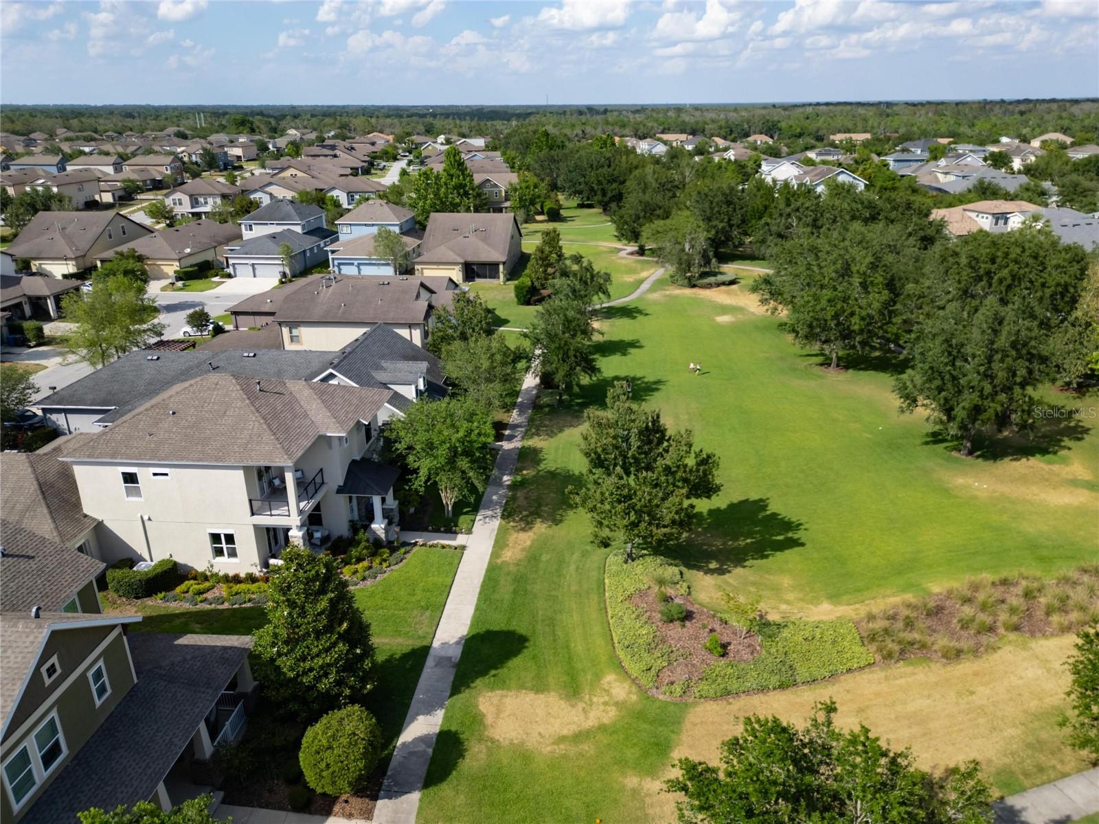 14204 BARRINGTON STOWERS DR, LITHIA, FL, 33547