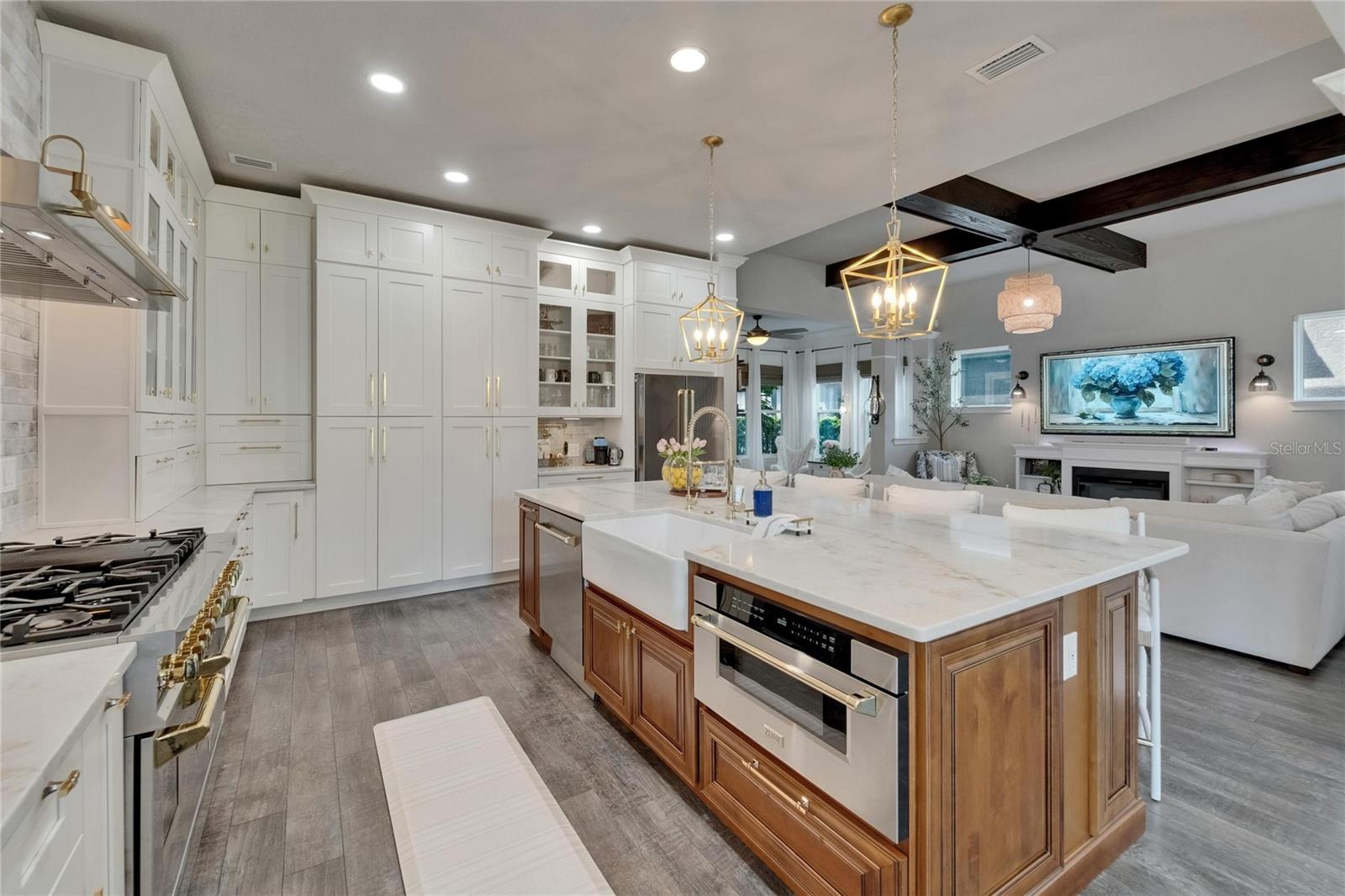 14204 BARRINGTON STOWERS DR, LITHIA, FL, 33547