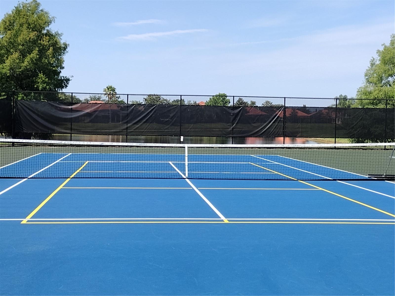 11222 RAPALLO LN, WINDERMERE, FL, 34786