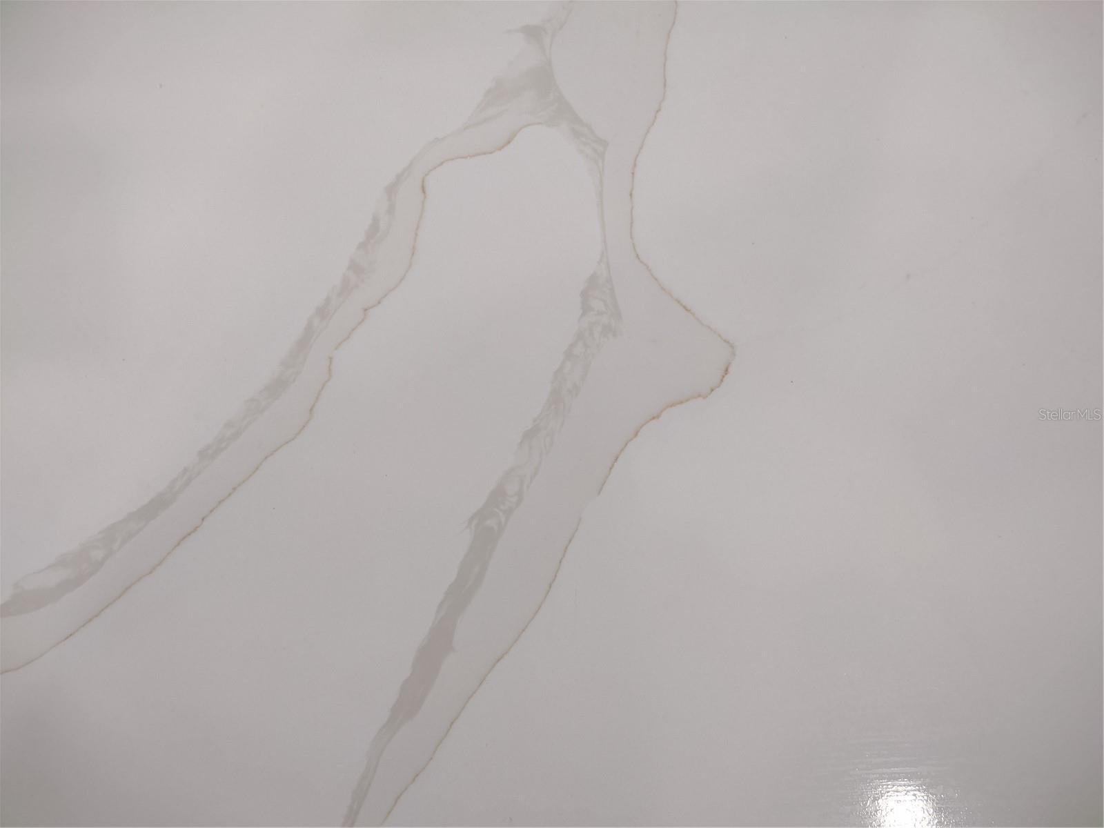 11222 RAPALLO LN, WINDERMERE, FL, 34786