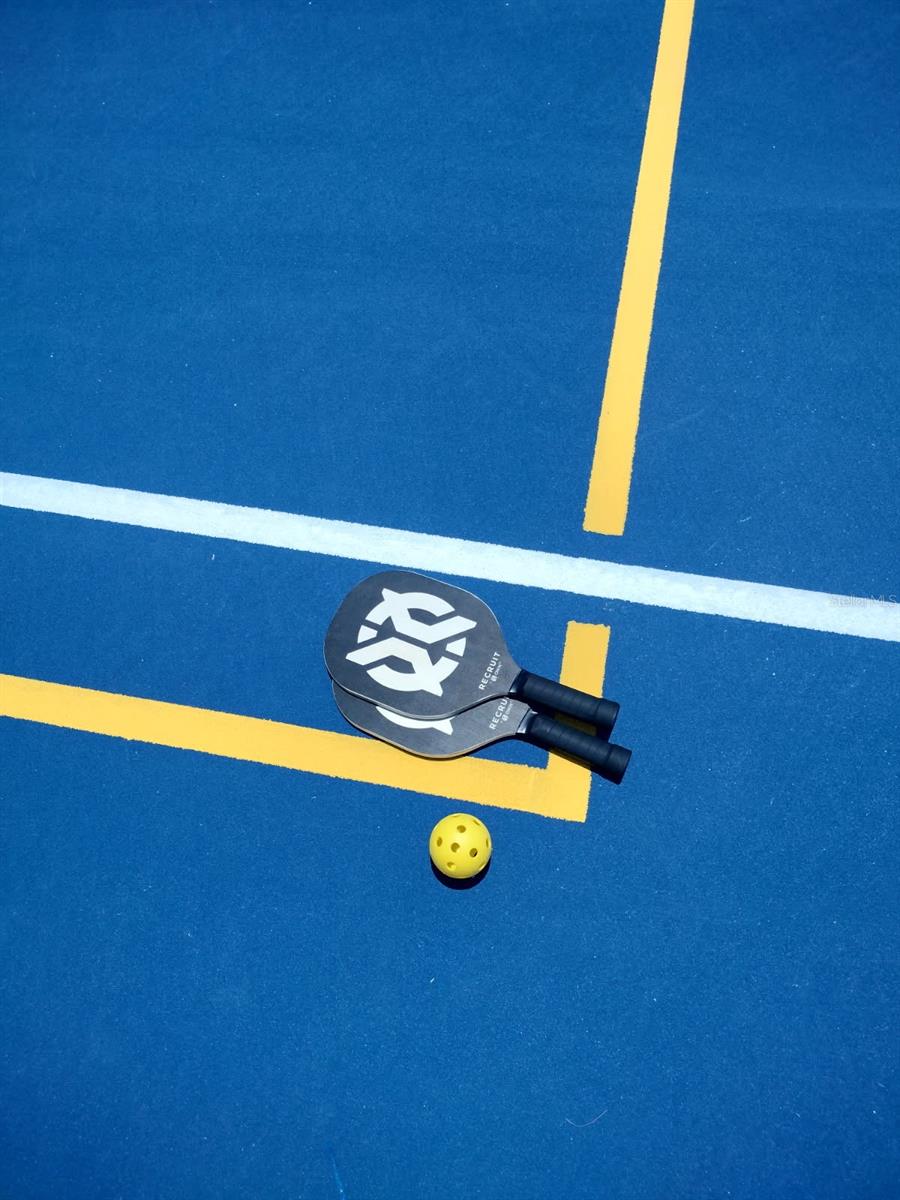 11222 RAPALLO LN, WINDERMERE, FL, 34786