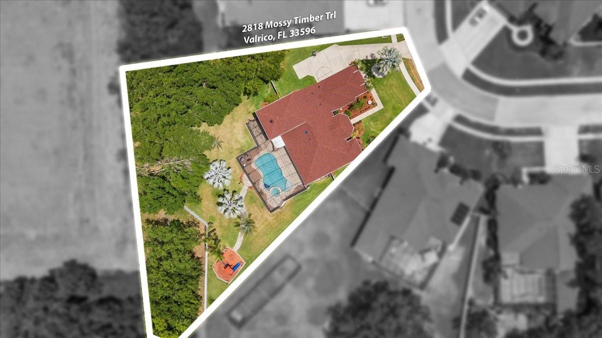 2818 MOSSY TIMBER TRL, VALRICO, FL, 33596