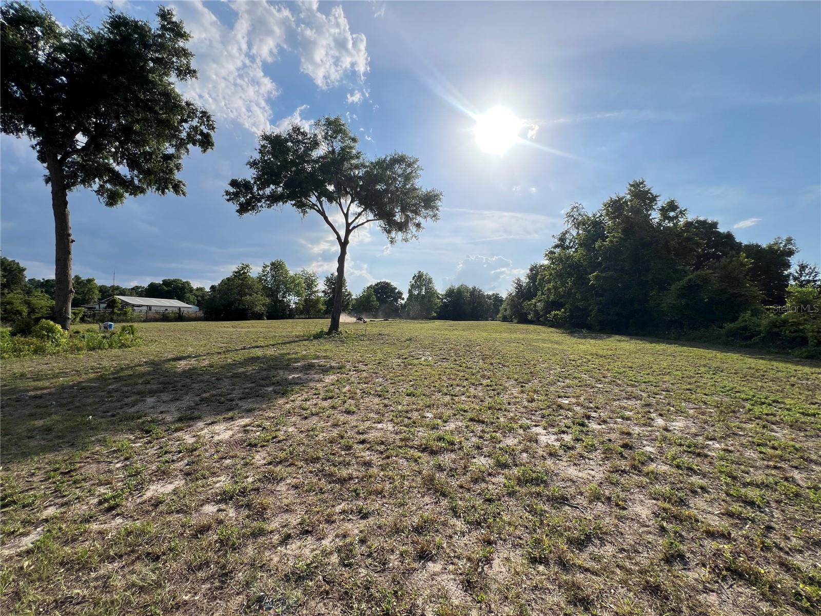 13430 NE 30TH CT, ANTHONY, FL, 32617