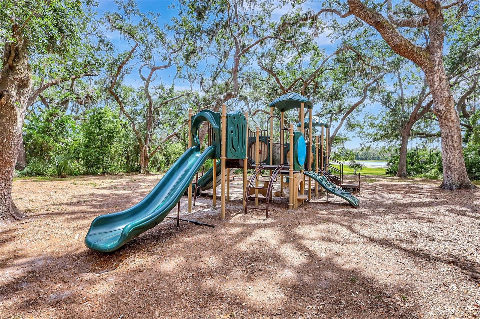 13518 CIRCA CROSSING DR, LITHIA, FL, 33547