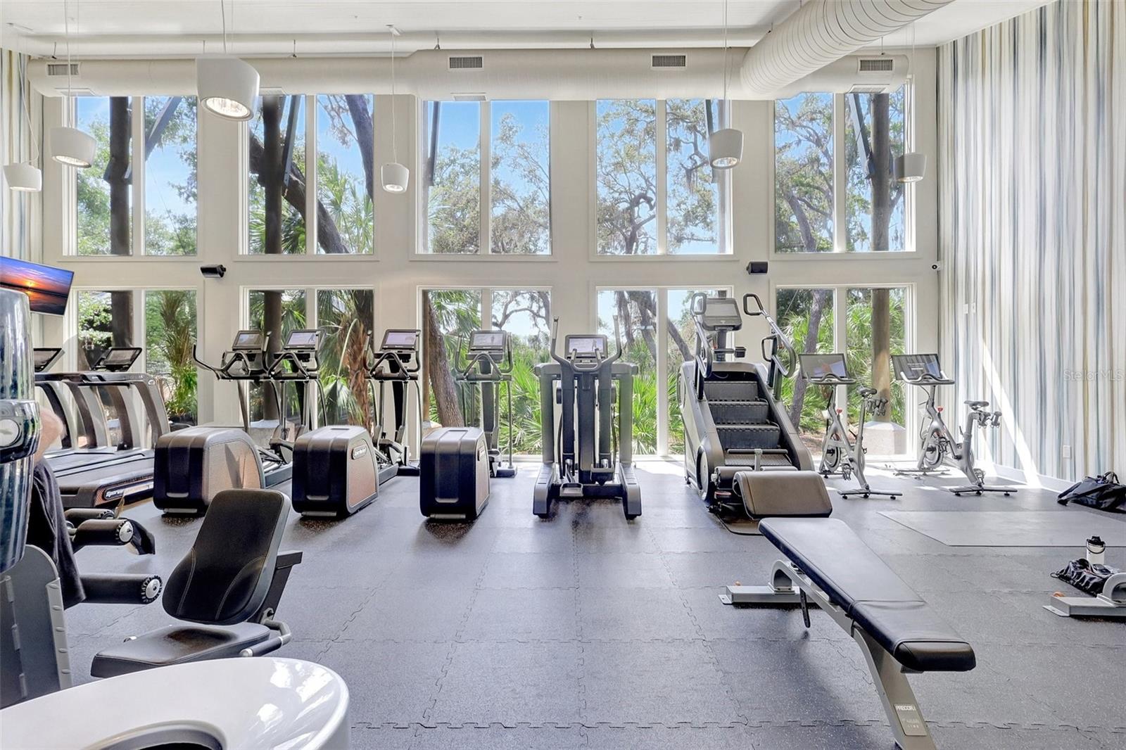 13518 CIRCA CROSSING DR, LITHIA, FL, 33547
