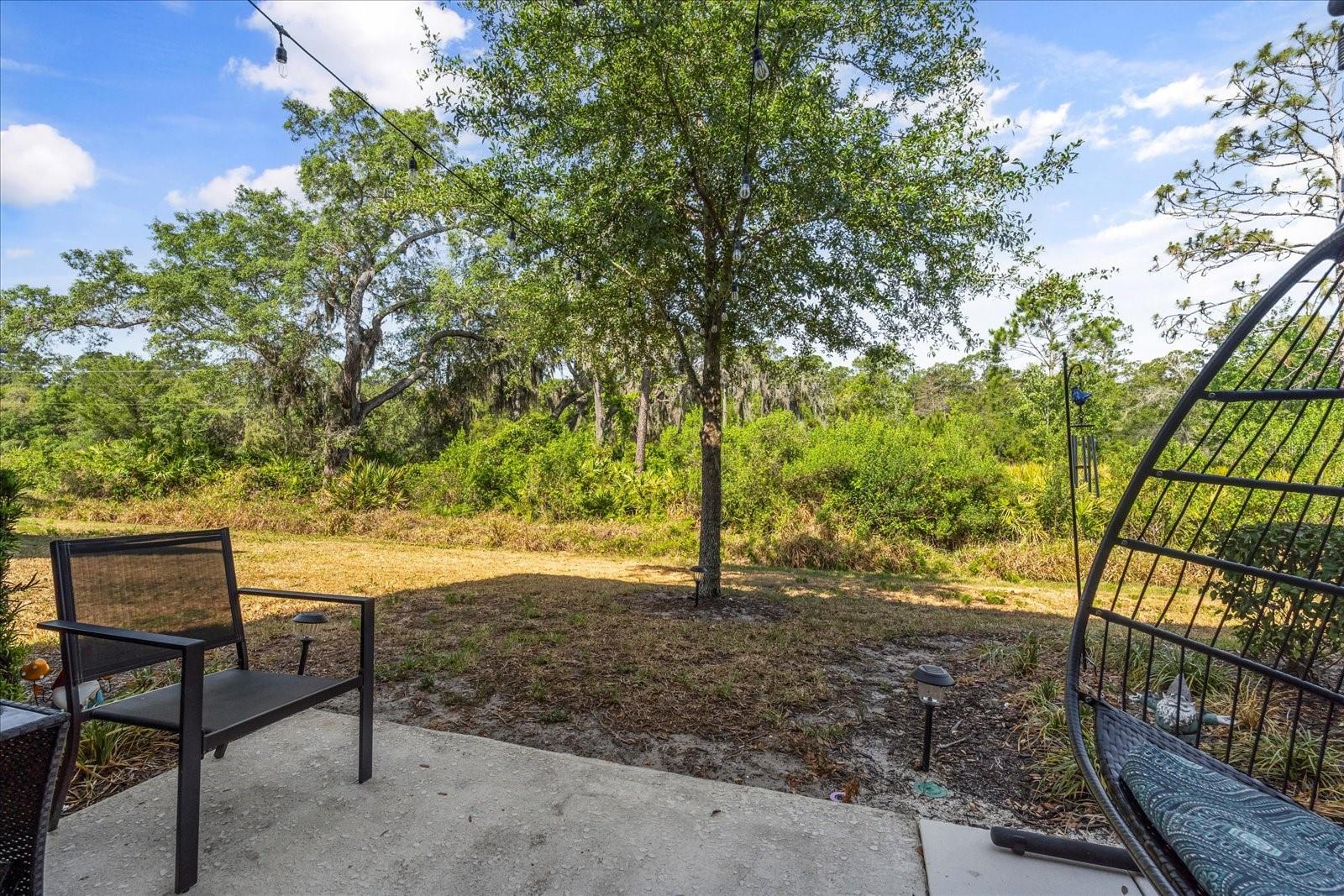 11120 WHISTLING PINE WAY, ORLANDO, FL, 32832