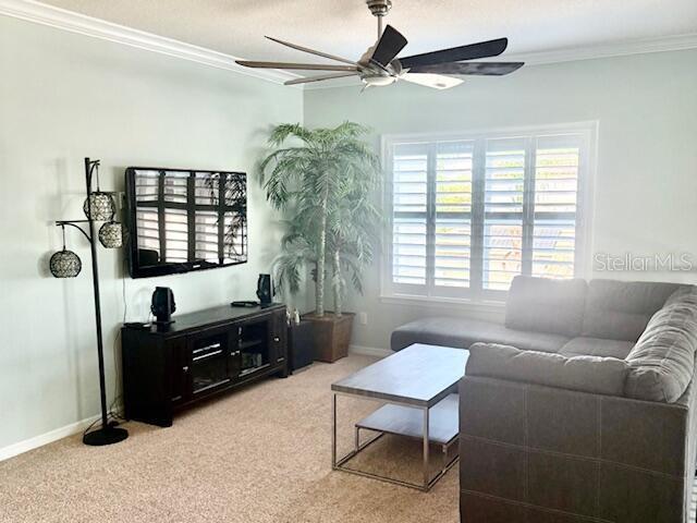 14285 UNITED COLONIES DR, WINTER GARDEN, FL, 34787