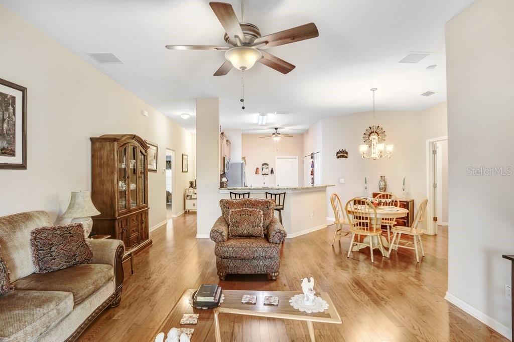 13411 GRAHAM YARDEN DR, RIVERVIEW, FL, 33579