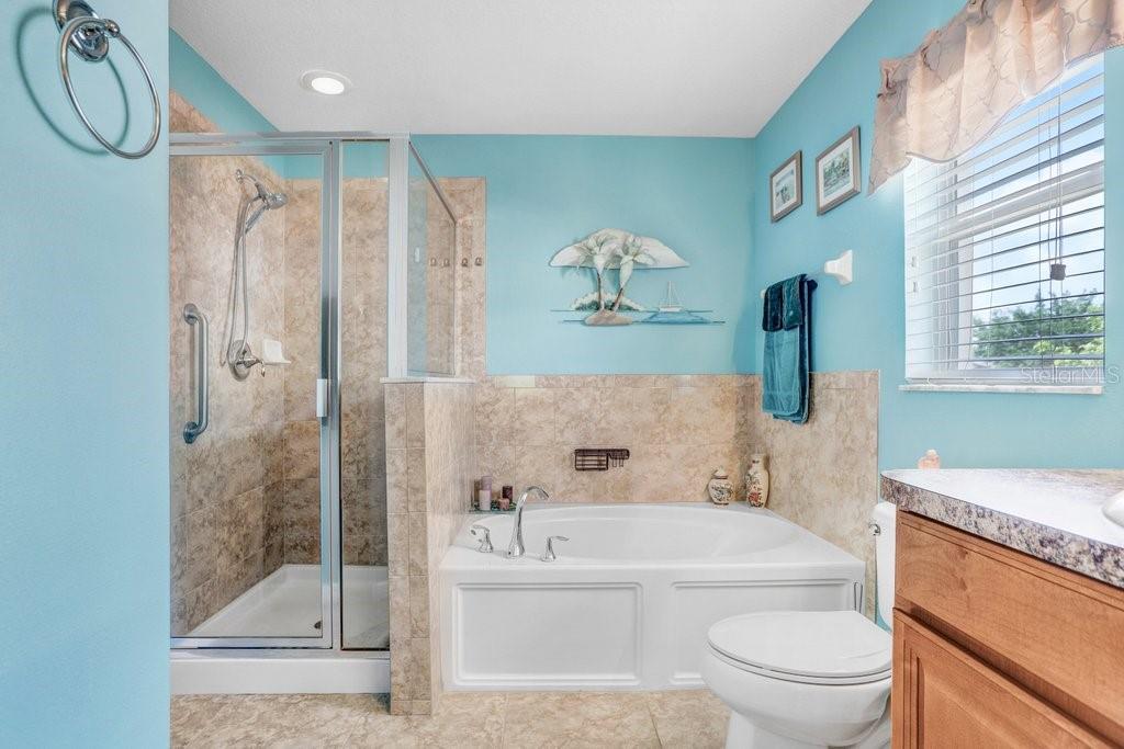 13411 GRAHAM YARDEN DR, RIVERVIEW, FL, 33579
