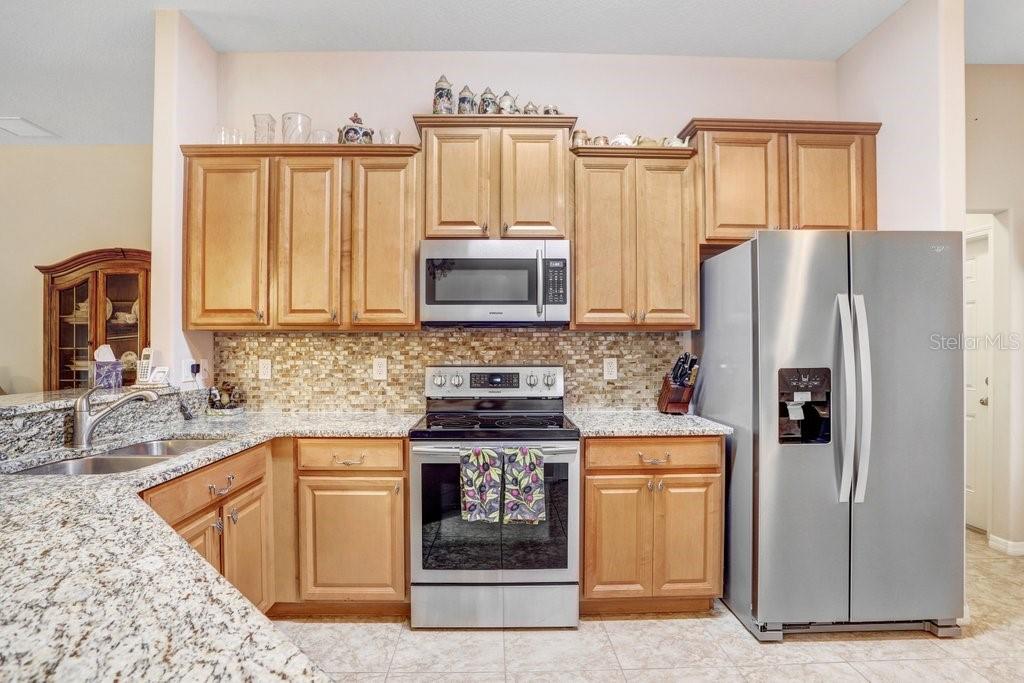 13411 GRAHAM YARDEN DR, RIVERVIEW, FL, 33579