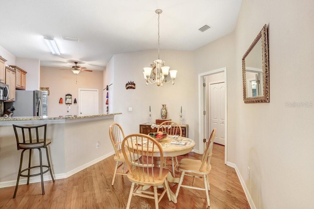 13411 GRAHAM YARDEN DR, RIVERVIEW, FL, 33579