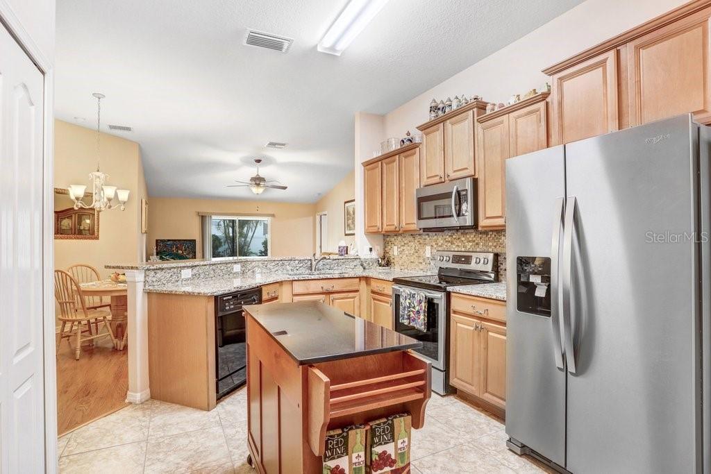 13411 GRAHAM YARDEN DR, RIVERVIEW, FL, 33579