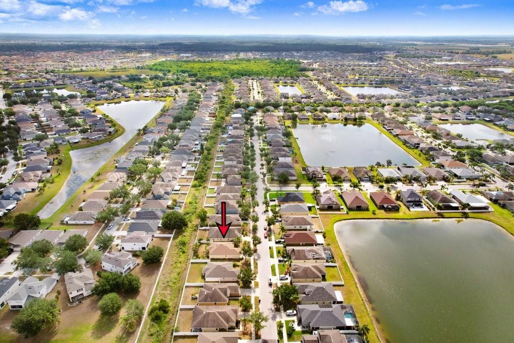13411 GRAHAM YARDEN DR, RIVERVIEW, FL, 33579