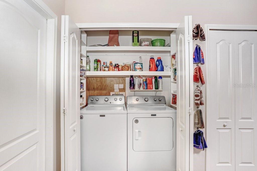 13411 GRAHAM YARDEN DR, RIVERVIEW, FL, 33579