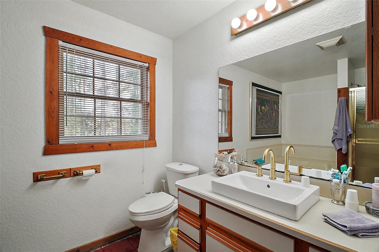 41513 ASPEN ST, EUSTIS, FL, 32736