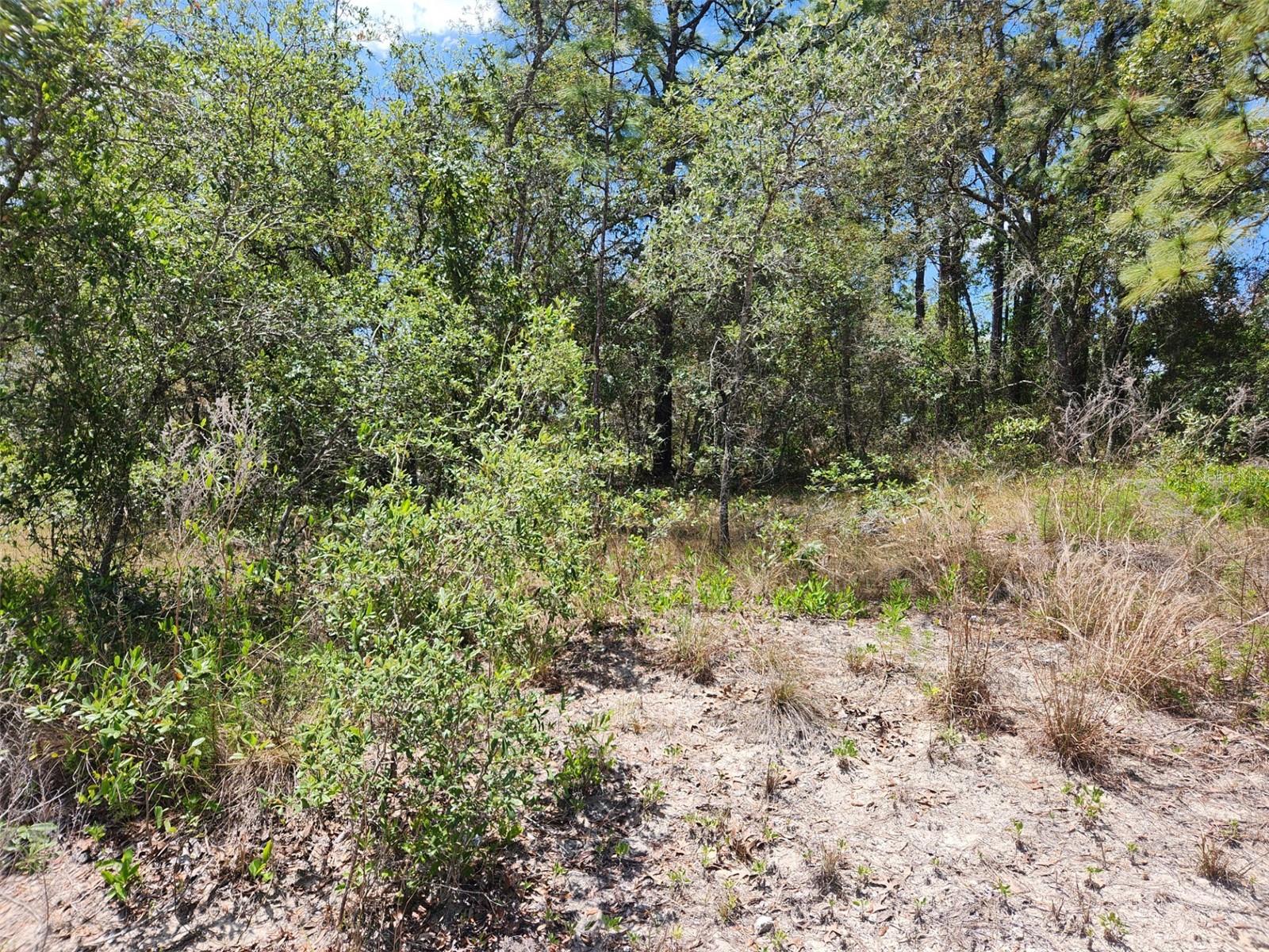 0 DAY OWL AVE #Lot # 7, WEEKI WACHEE, FL, 34613