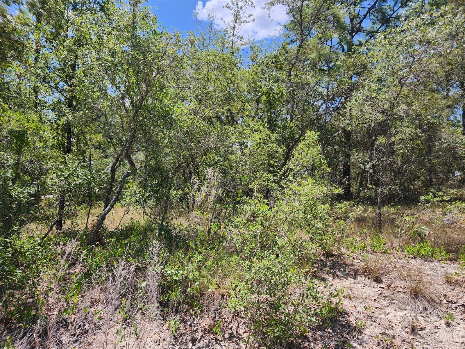 0 DAY OWL AVE #Lot # 7, WEEKI WACHEE, FL, 34613