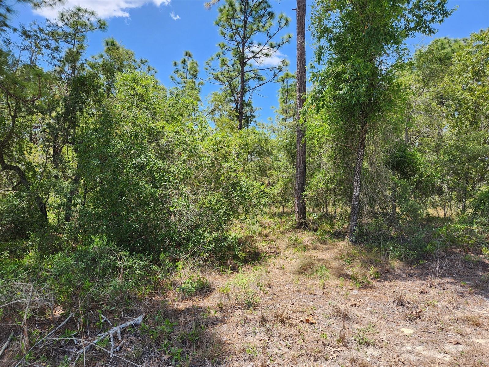0 DAY OWL AVE #Lot # 7, WEEKI WACHEE, FL, 34613