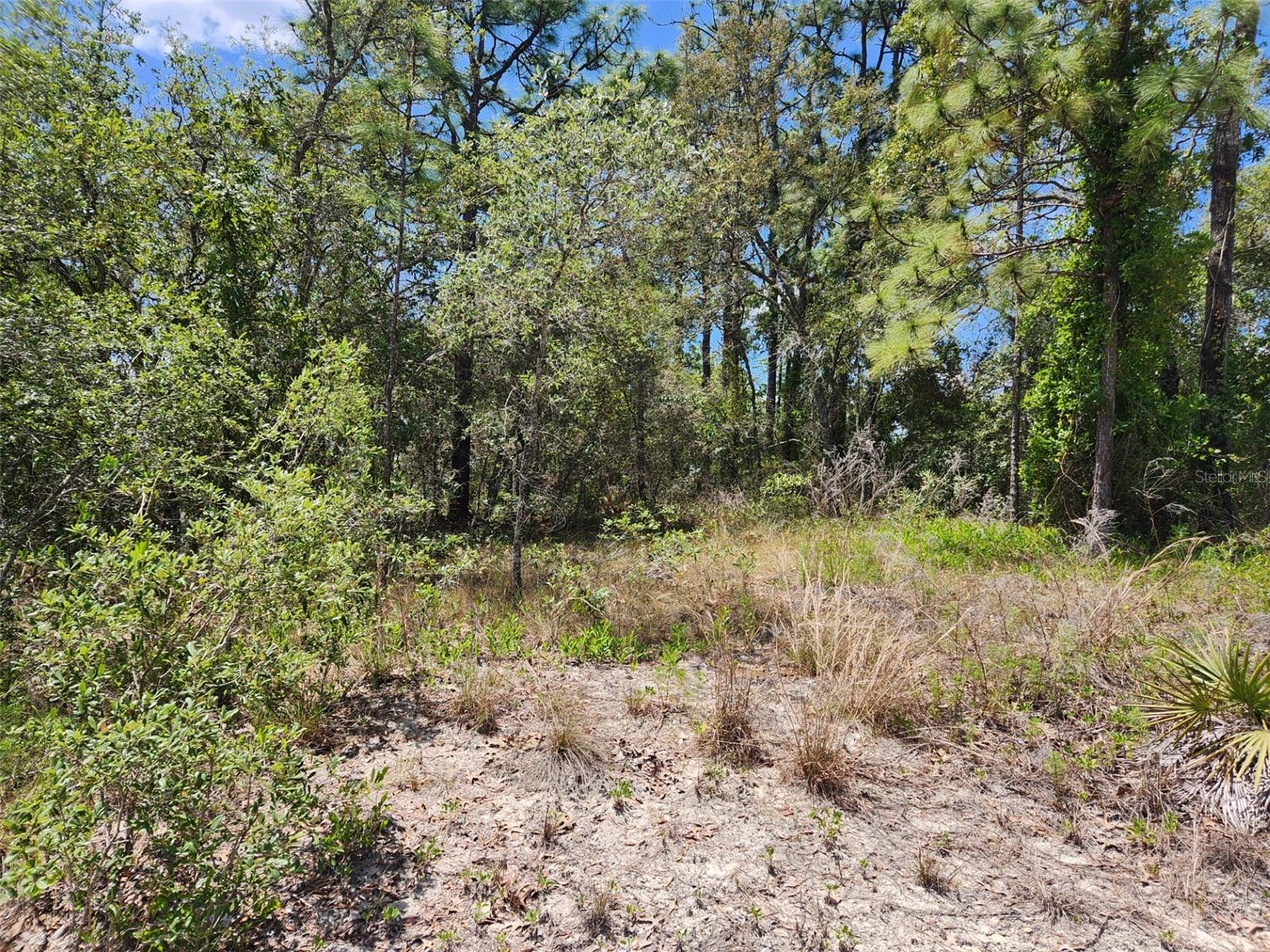 0 DAY OWL AVE #Lot # 7, WEEKI WACHEE, FL, 34613