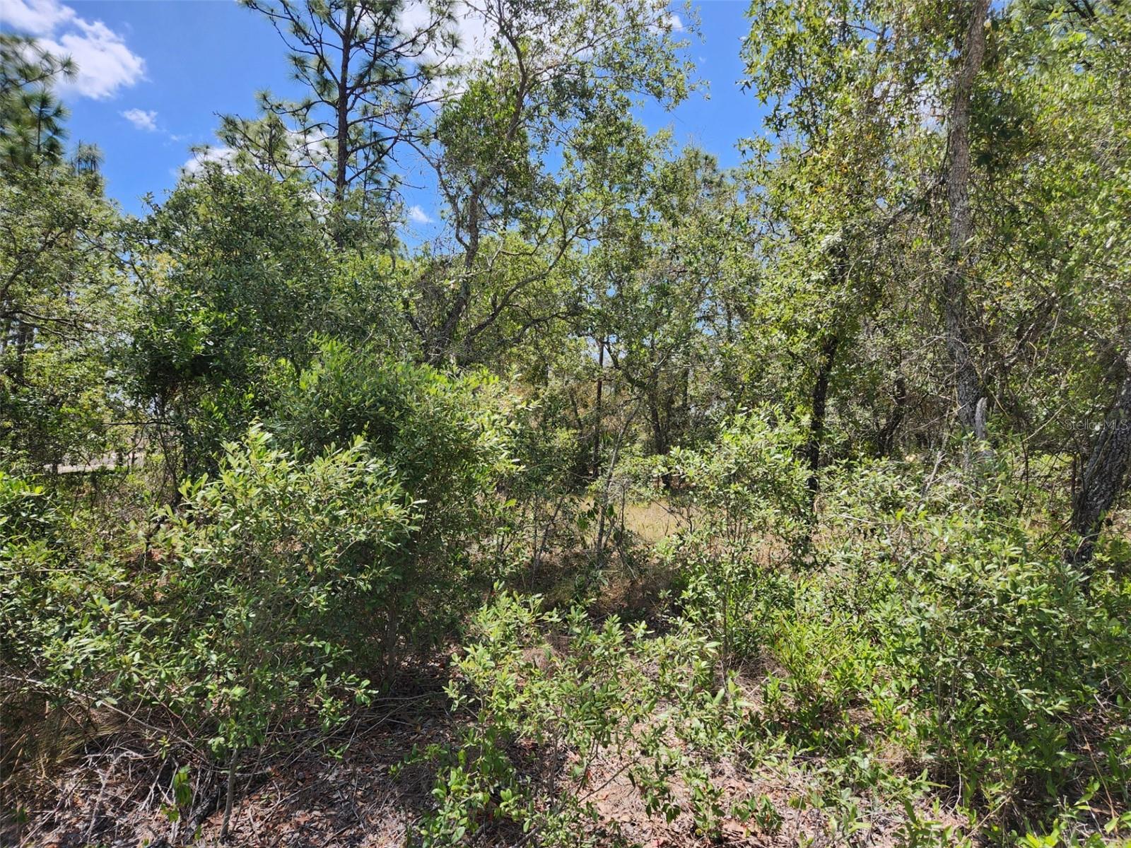 0 DAY OWL AVE #Lot # 7, WEEKI WACHEE, FL, 34613