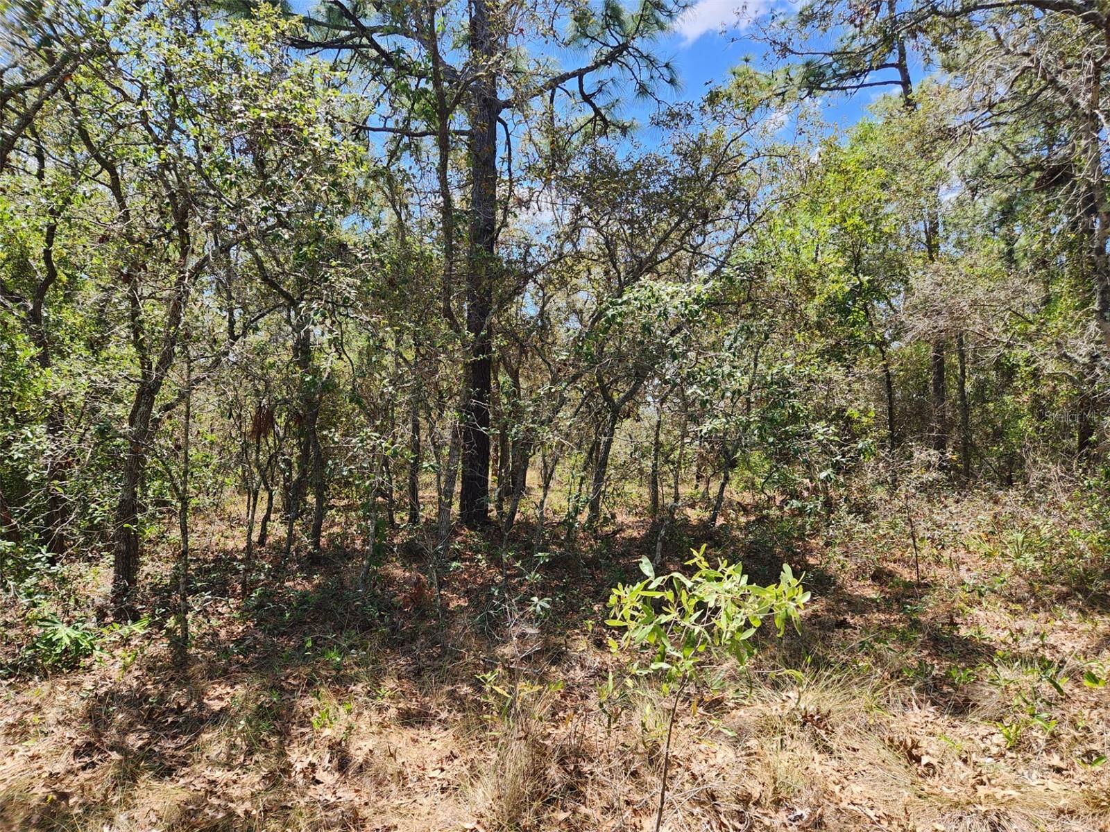 0 DAY OWL AVE #Lot # 7, WEEKI WACHEE, FL, 34613