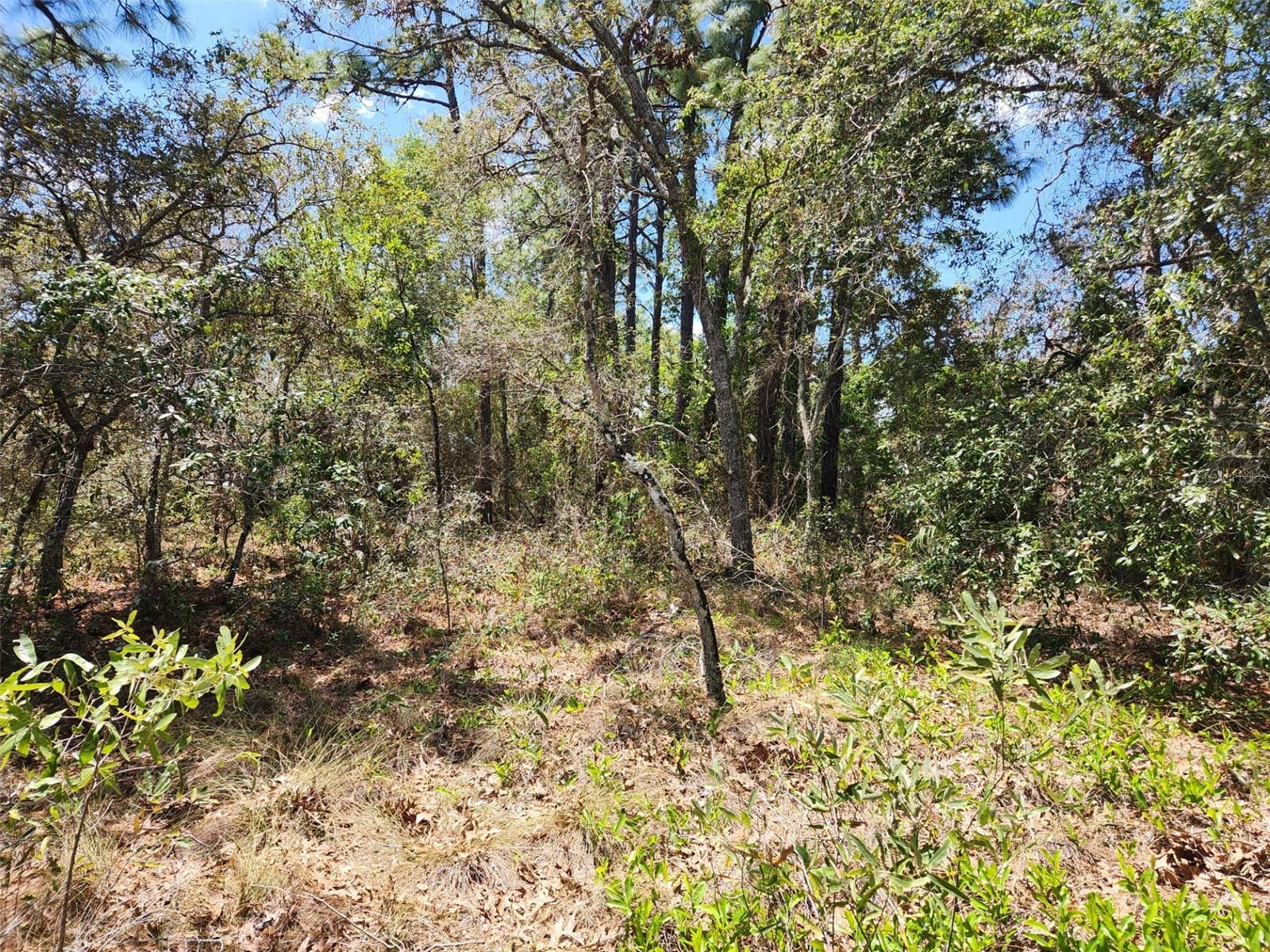 0 DAY OWL AVE #Lot # 7, WEEKI WACHEE, FL, 34613