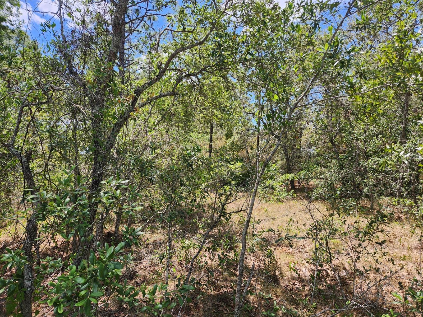 0 DAY OWL AVE #Lot # 7, WEEKI WACHEE, FL, 34613