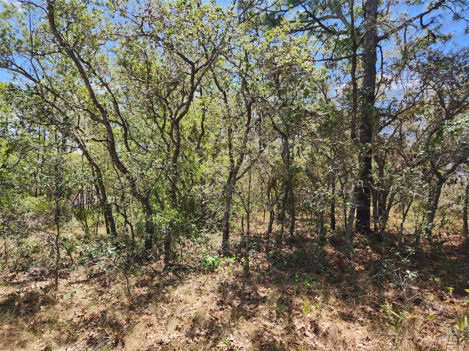 0 DAY OWL AVE #Lot # 7, WEEKI WACHEE, FL, 34613