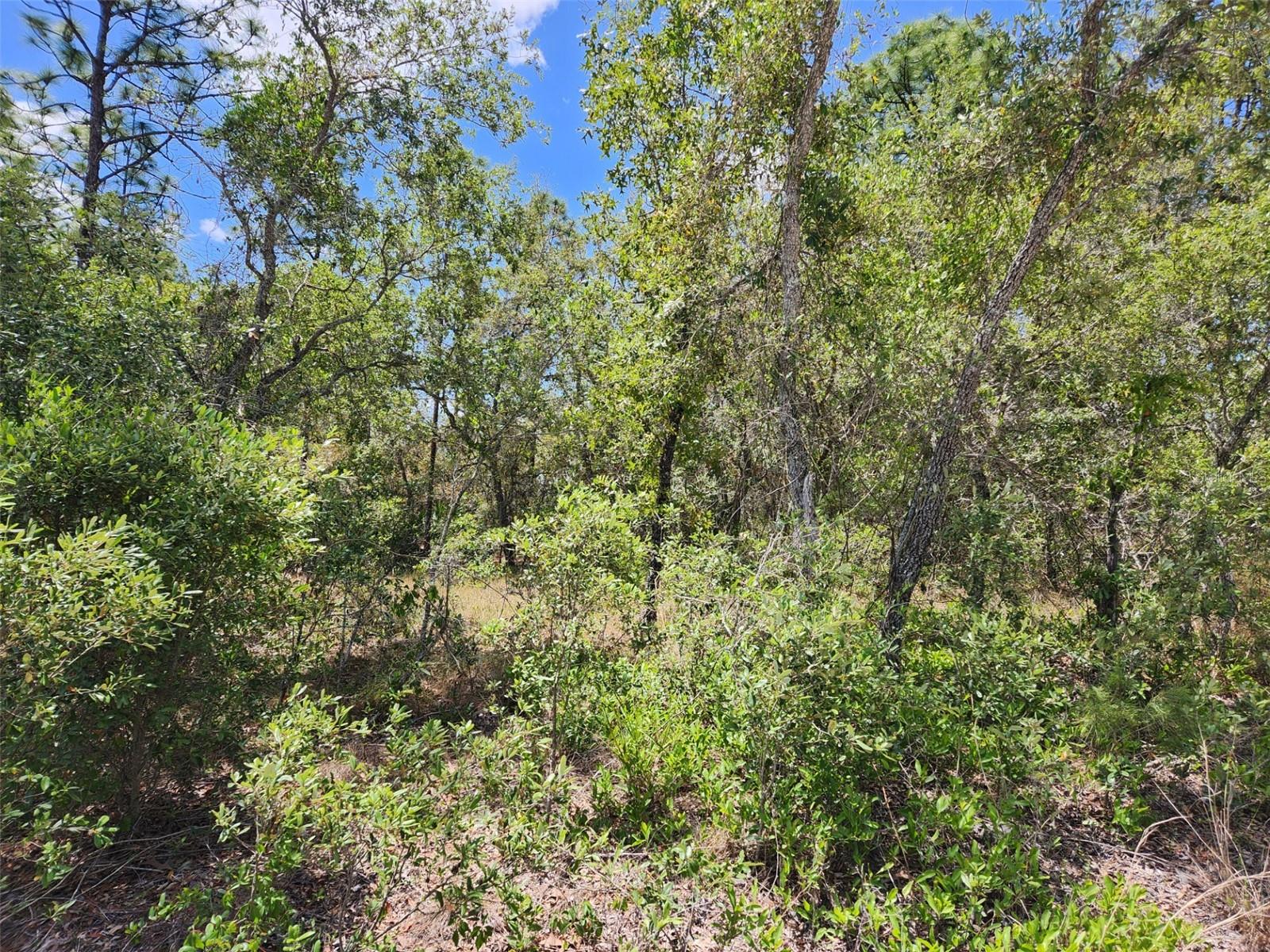 0 DAY OWL AVE #Lot # 7, WEEKI WACHEE, FL, 34613