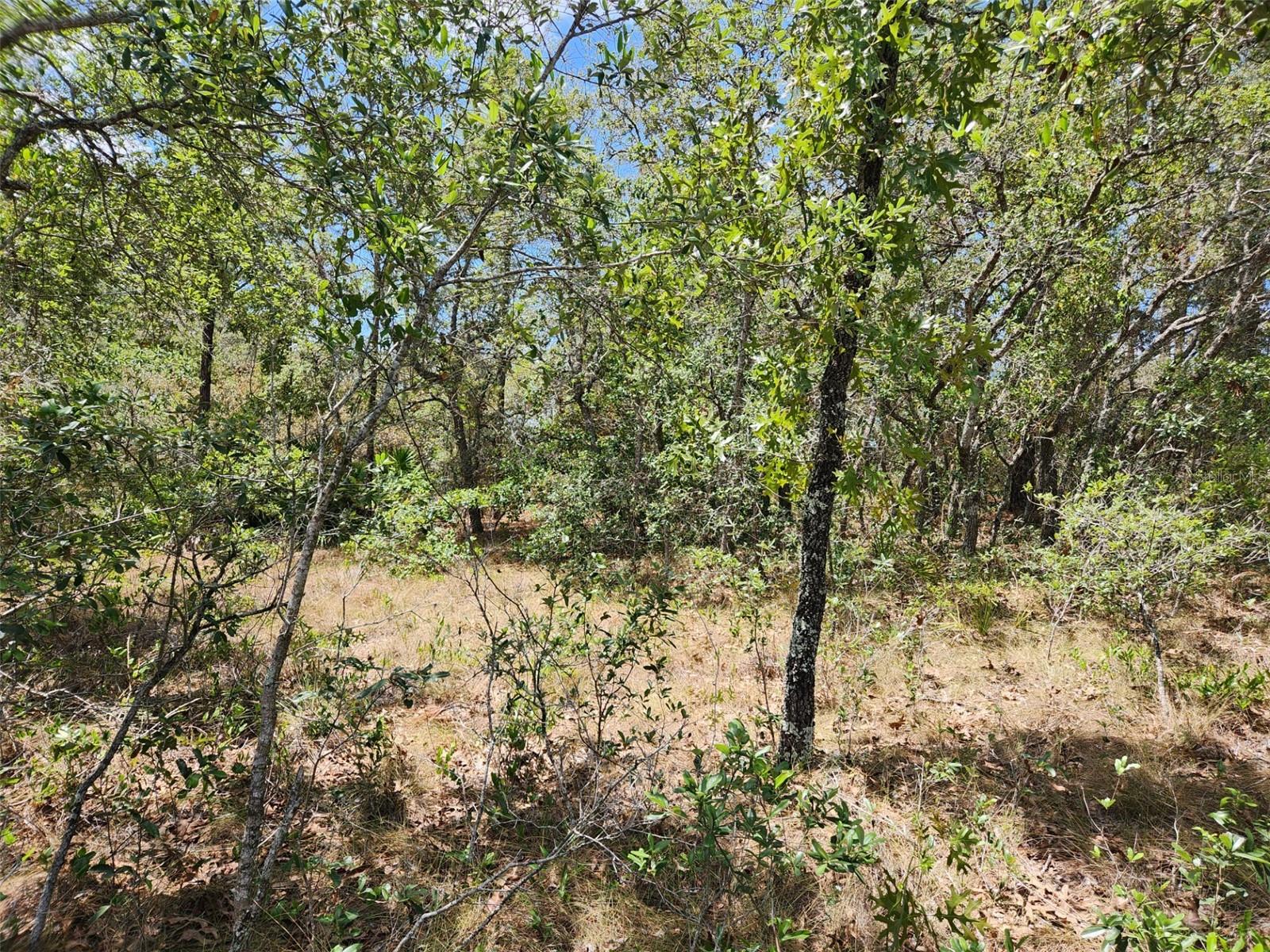 0 DAY OWL AVE #Lot # 7, WEEKI WACHEE, FL, 34613