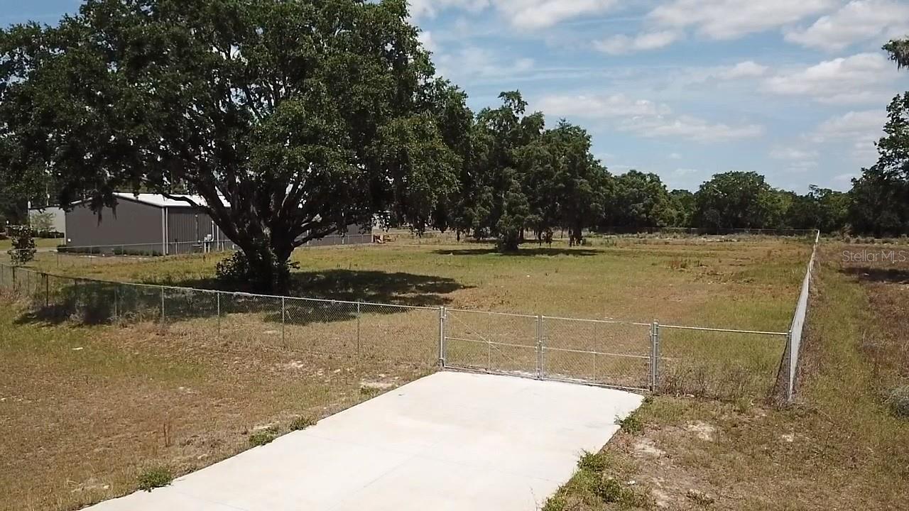 980 DUCK BOX RD, UMATILLA, FL, 32784