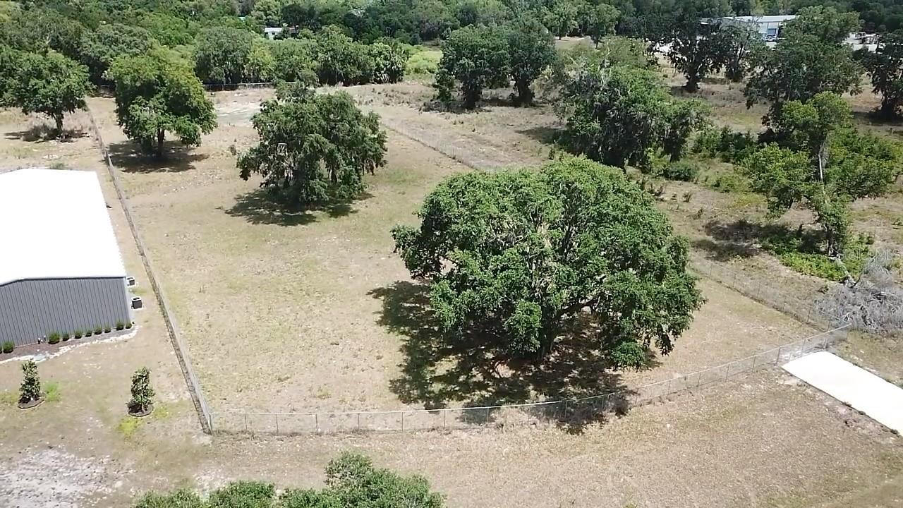 980 DUCK BOX RD, UMATILLA, FL, 32784