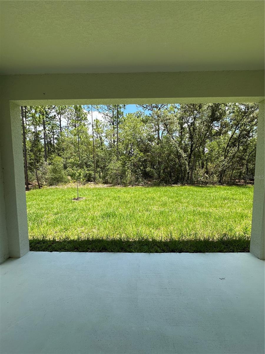 9135 N LISA TER, CITRUS SPRINGS, FL, 34433