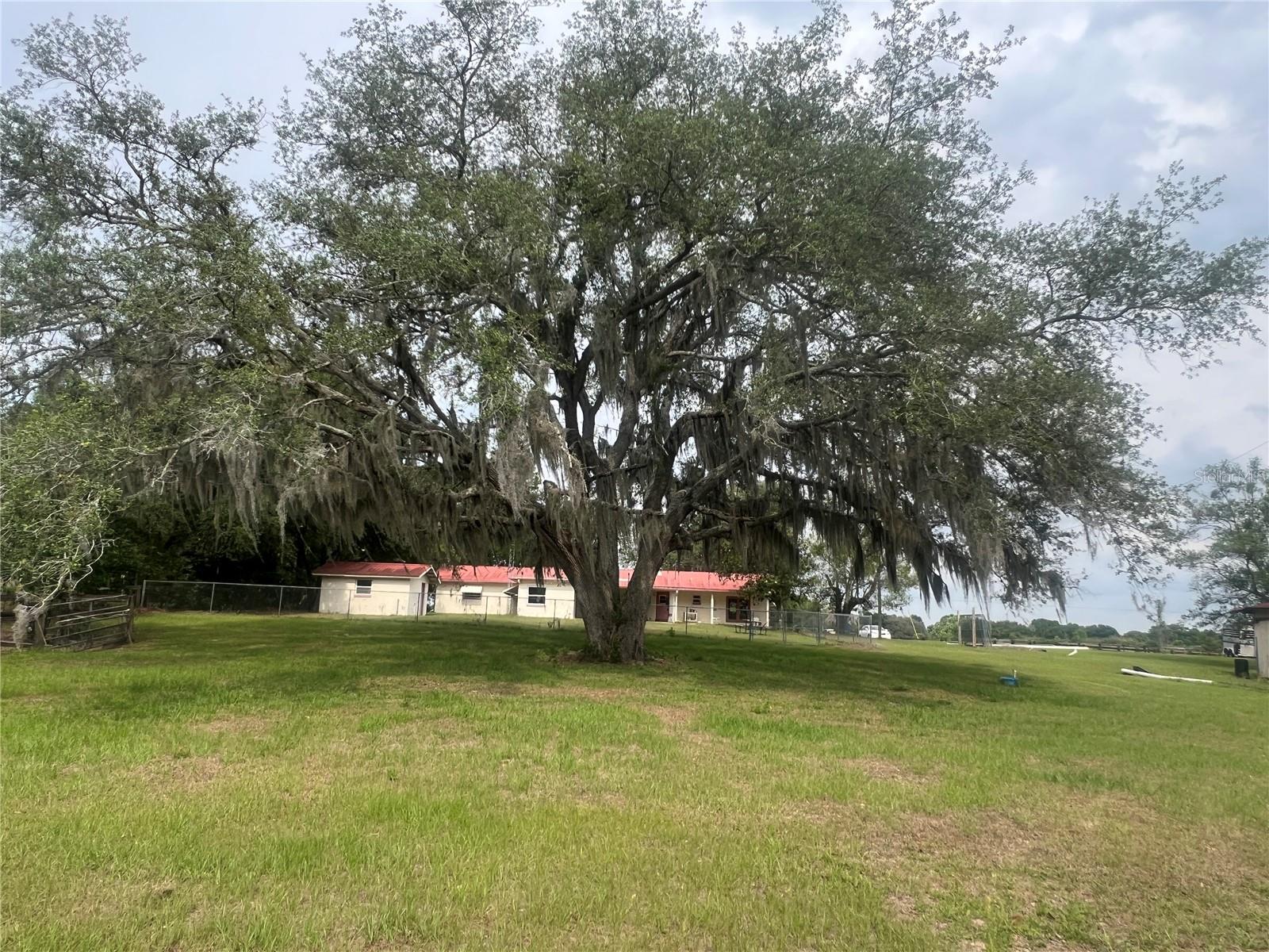 16850 SE 19TH CT, SUMMERFIELD, FL, 34491