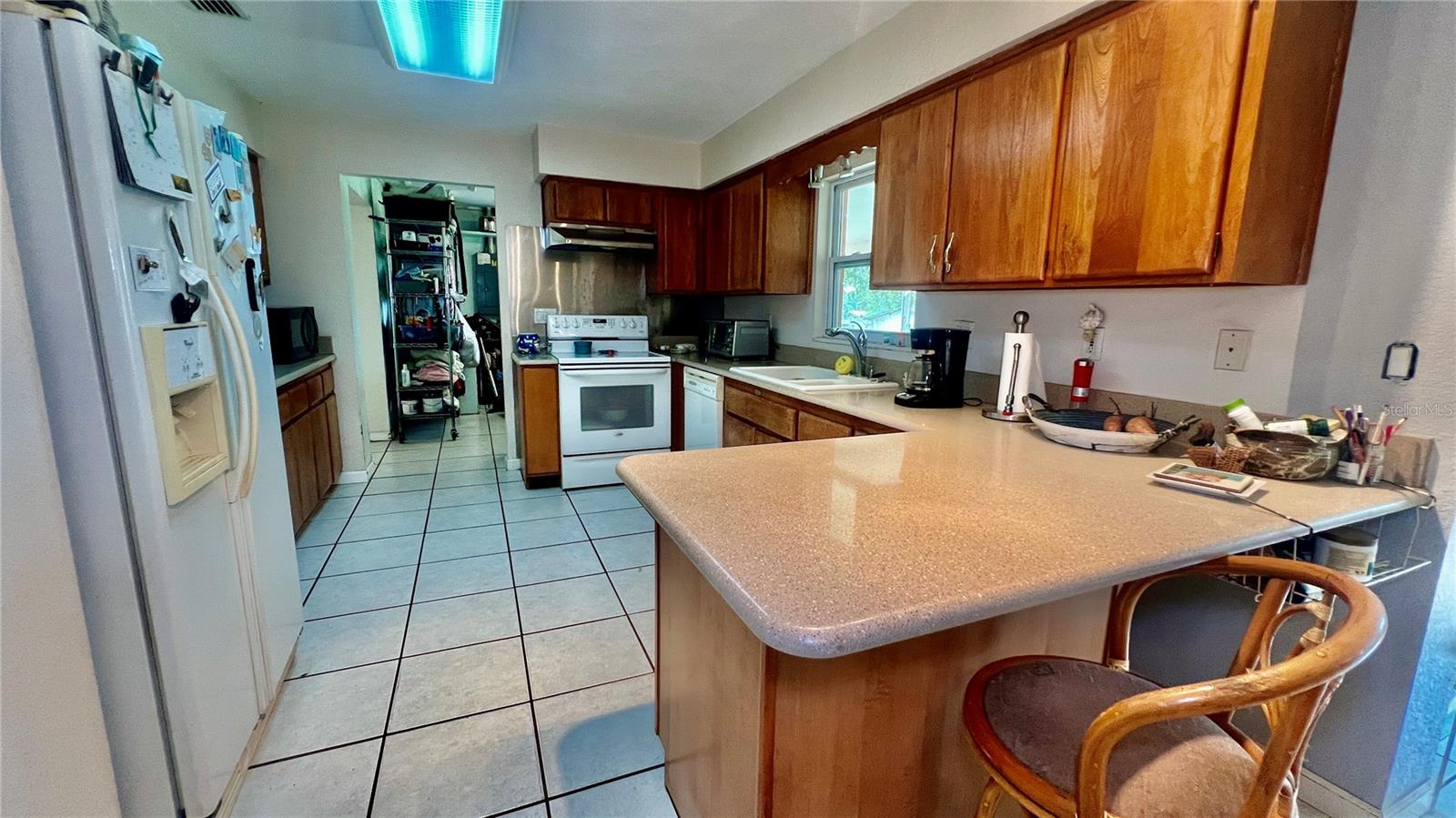 16850 SE 19TH CT, SUMMERFIELD, FL, 34491