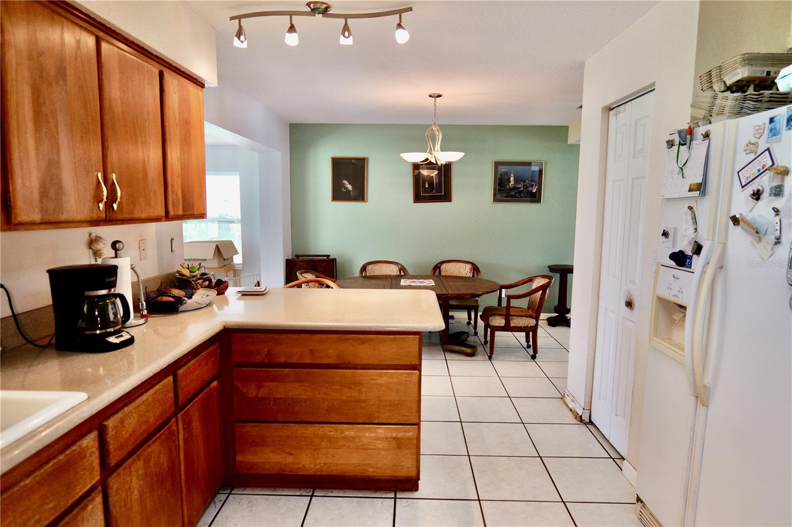 16850 SE 19TH CT, SUMMERFIELD, FL, 34491