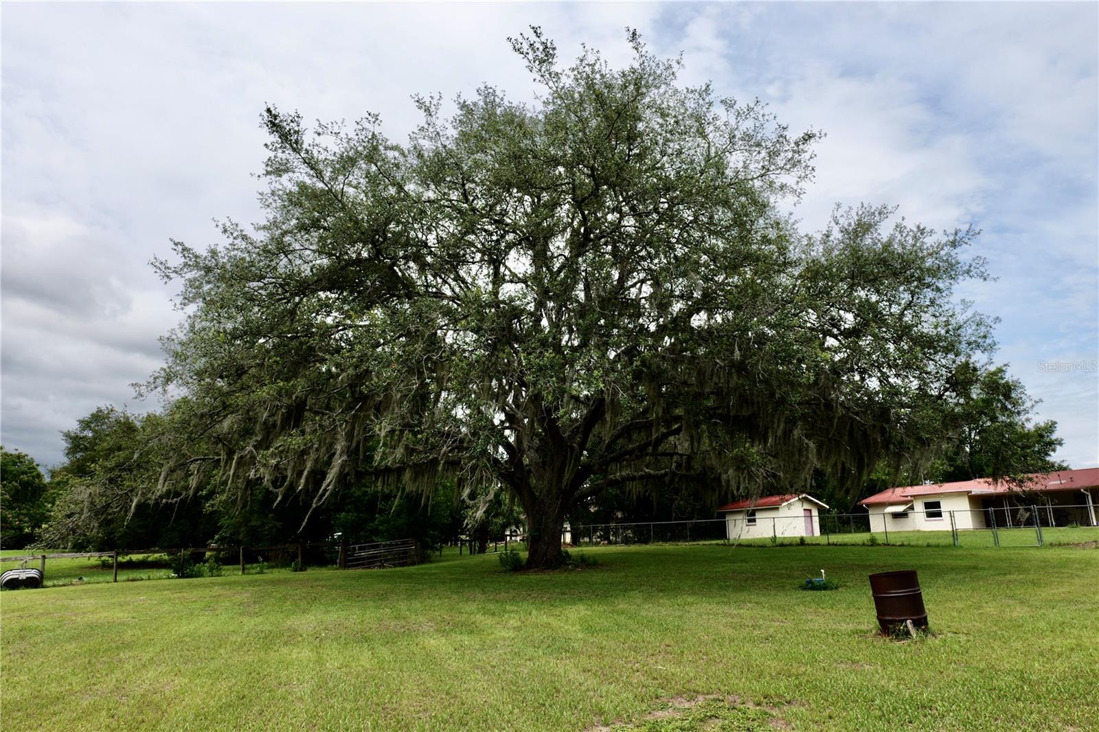 16850 SE 19TH CT, SUMMERFIELD, FL, 34491