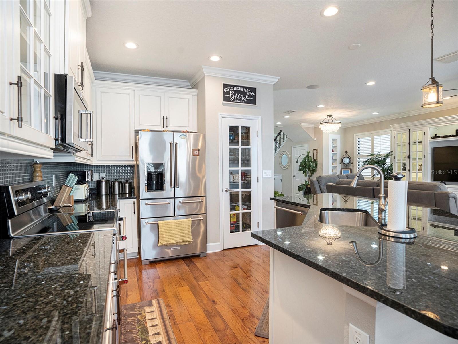 4689 WANDERING WAY, WESLEY CHAPEL, FL, 33544