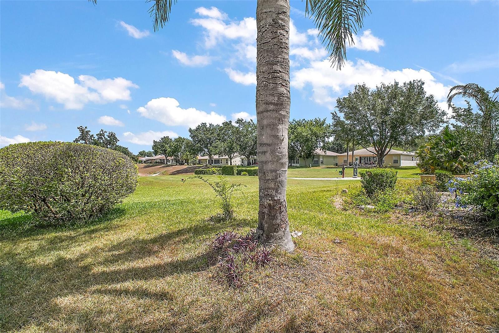 705 GRAND VISTA TRL, LEESBURG, FL, 34748