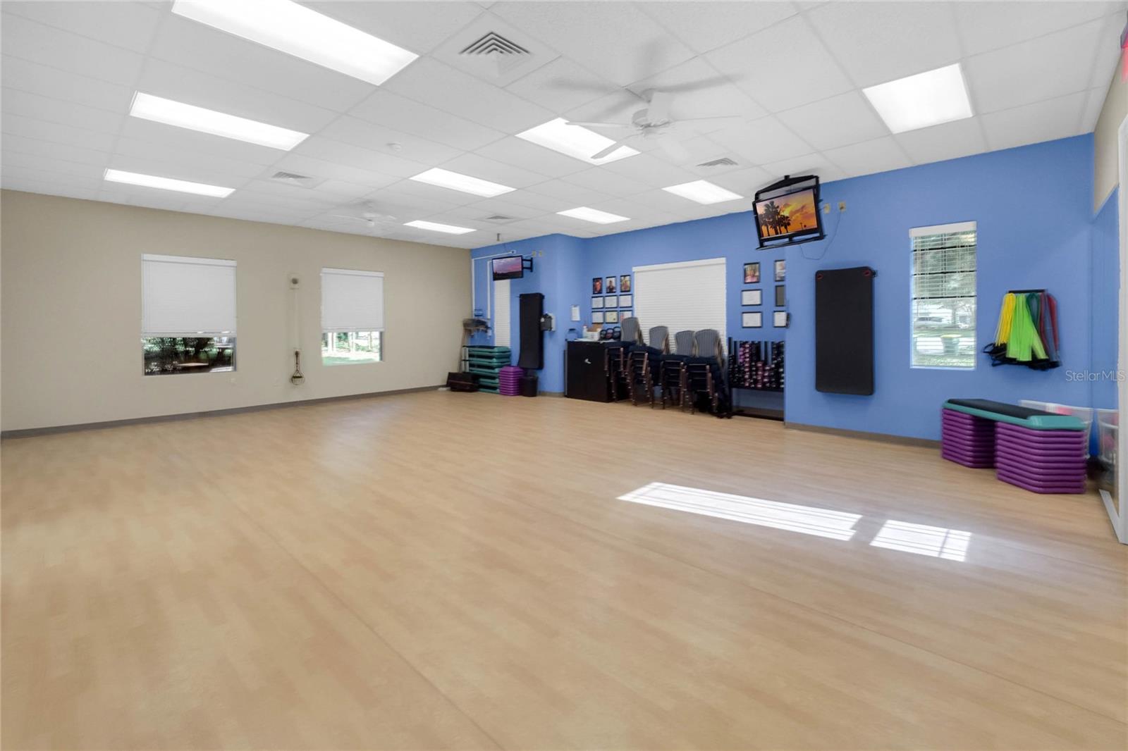 26807 BULL RUN, LEESBURG, FL, 34748