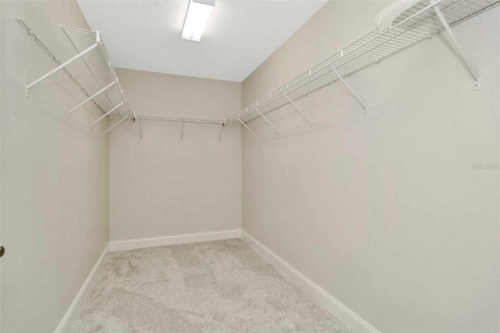 28516 TRANQUIL LAKE CIR, WESLEY CHAPEL, FL, 33543