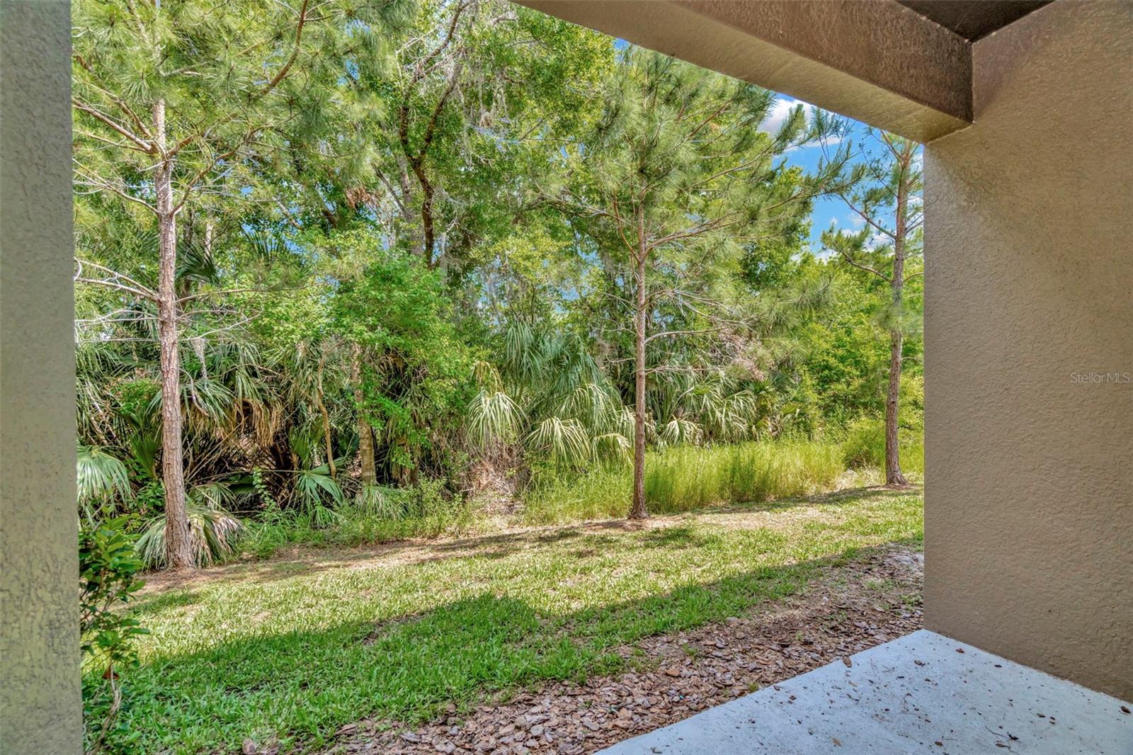 28516 TRANQUIL LAKE CIR, WESLEY CHAPEL, FL, 33543